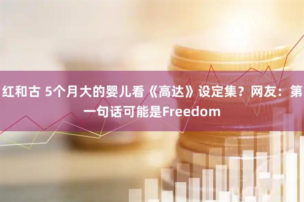红和古 5个月大的婴儿看《高达》设定集？网友：第一句话可能是Freedom