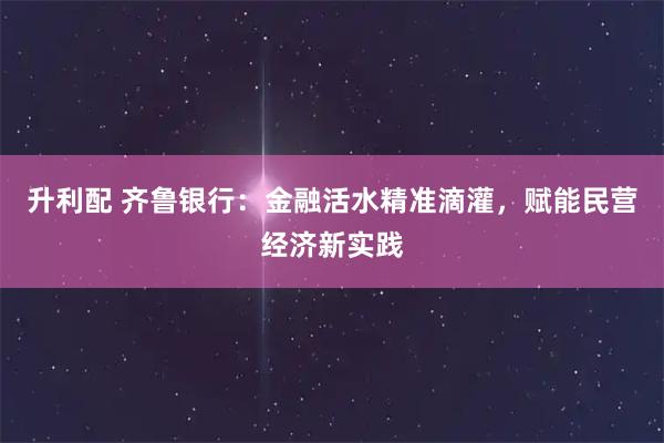 升利配 齐鲁银行：金融活水精准滴灌，赋能民营经济新实践