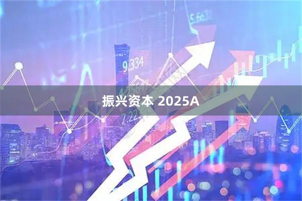振兴资本 2025A