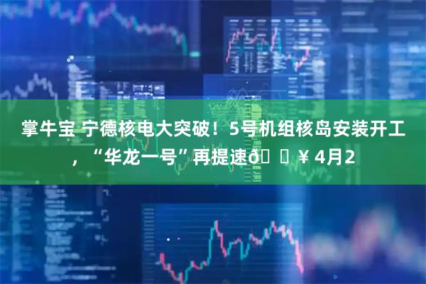 掌牛宝 宁德核电大突破！5号机组核岛安装开工，“华龙一号”再提速🔥 4月2